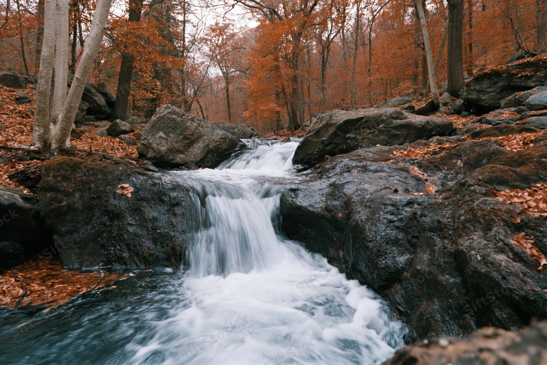 Stream cascading over dark wet boulders in autumn forest
