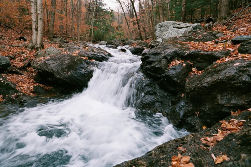 Stream cascading over dark wet boulders in a forest with autumn foliage