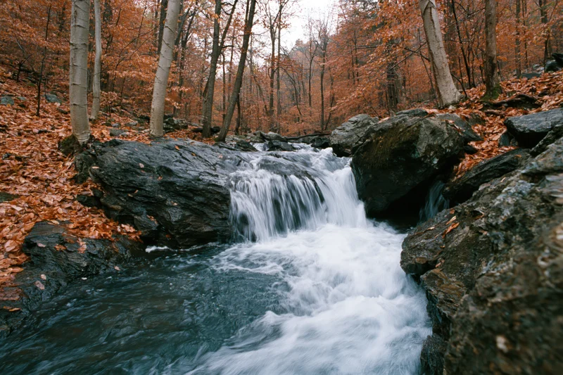 Stream cascading over dark wet boulders in autumn woodland