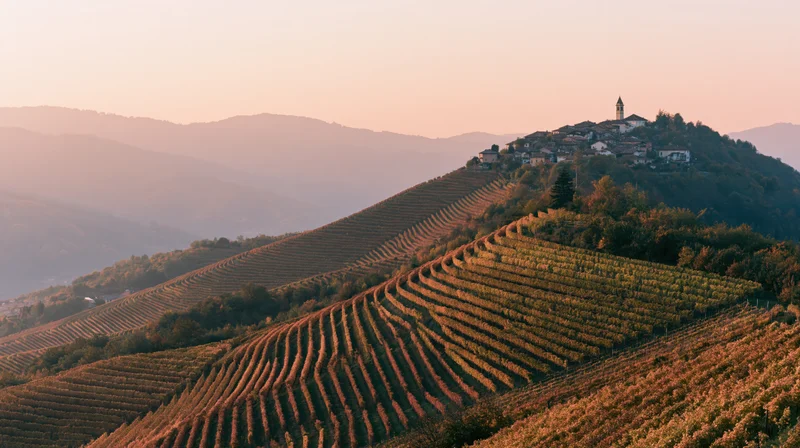Terraced vineyard rows on rolling hills at sunset with village on hilltop in Italy