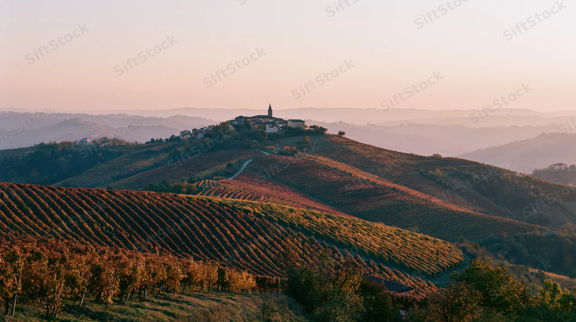Terraced vineyard rows on rolling hills at sunset with village and church on hilltop in italy