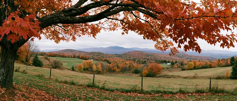 Autumn foliage over rolling countryside with mountains in the distance