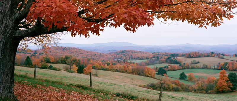Autumn foliage over rolling countryside hills with trees and fields in Vermont