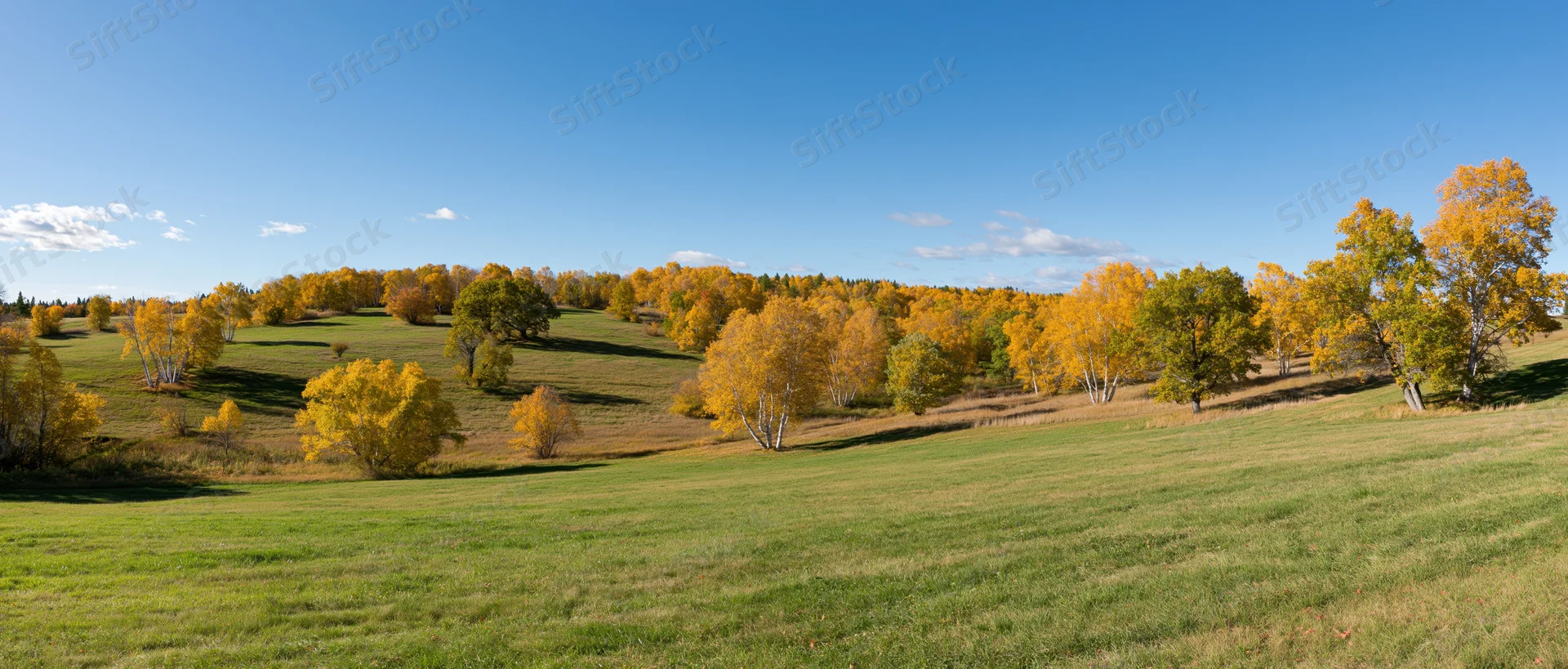 Rolling countryside with scattered birch and oak trees in autumn foliage under a clear blue sky