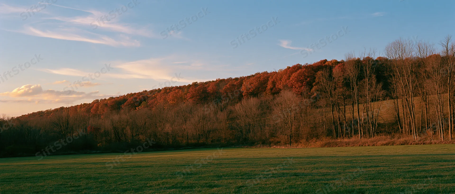 Open green field in foreground leading to autumn forested hill under golden sky