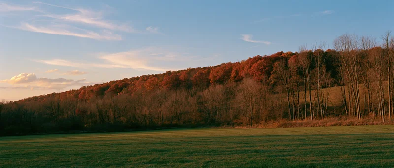 Open green field in foreground leading to autumn forested hill under golden sky