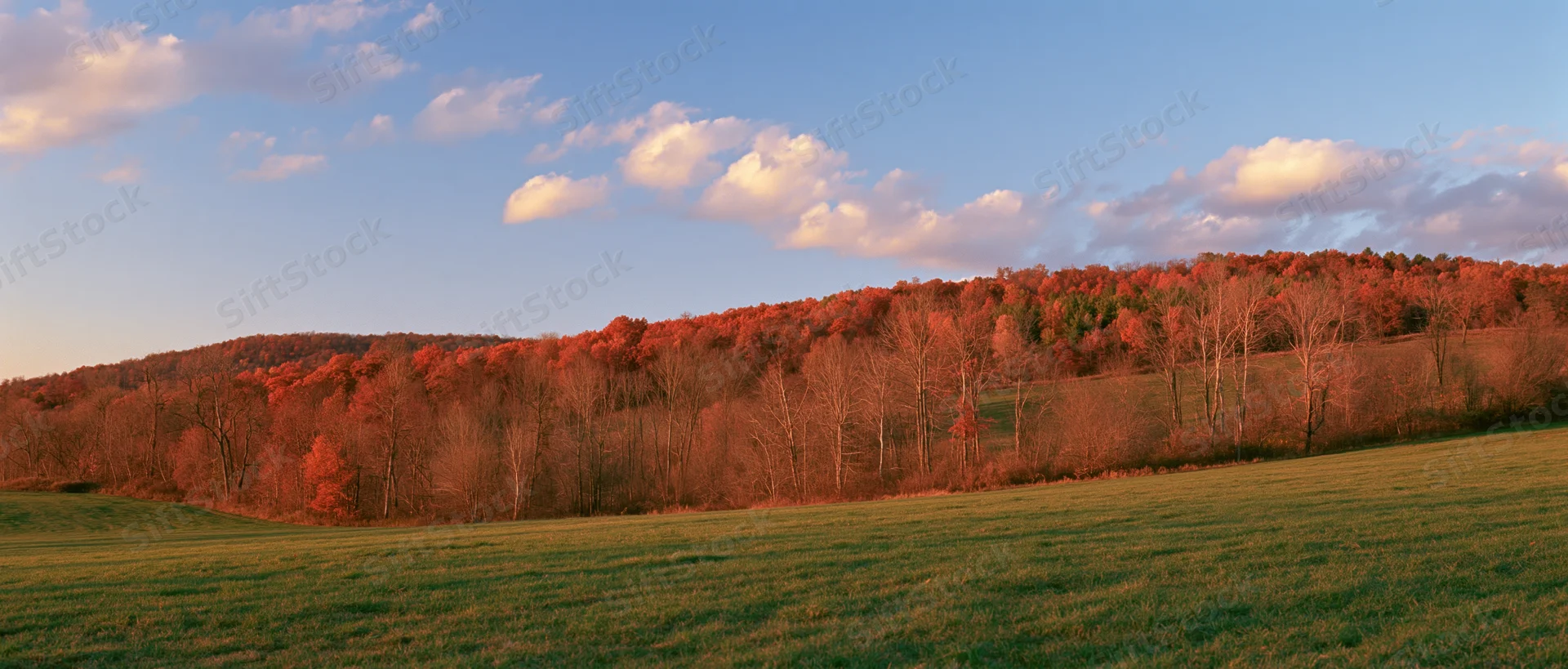 Open green field in foreground leading to autumn-colored trees on a hill under a partly cloudy sky