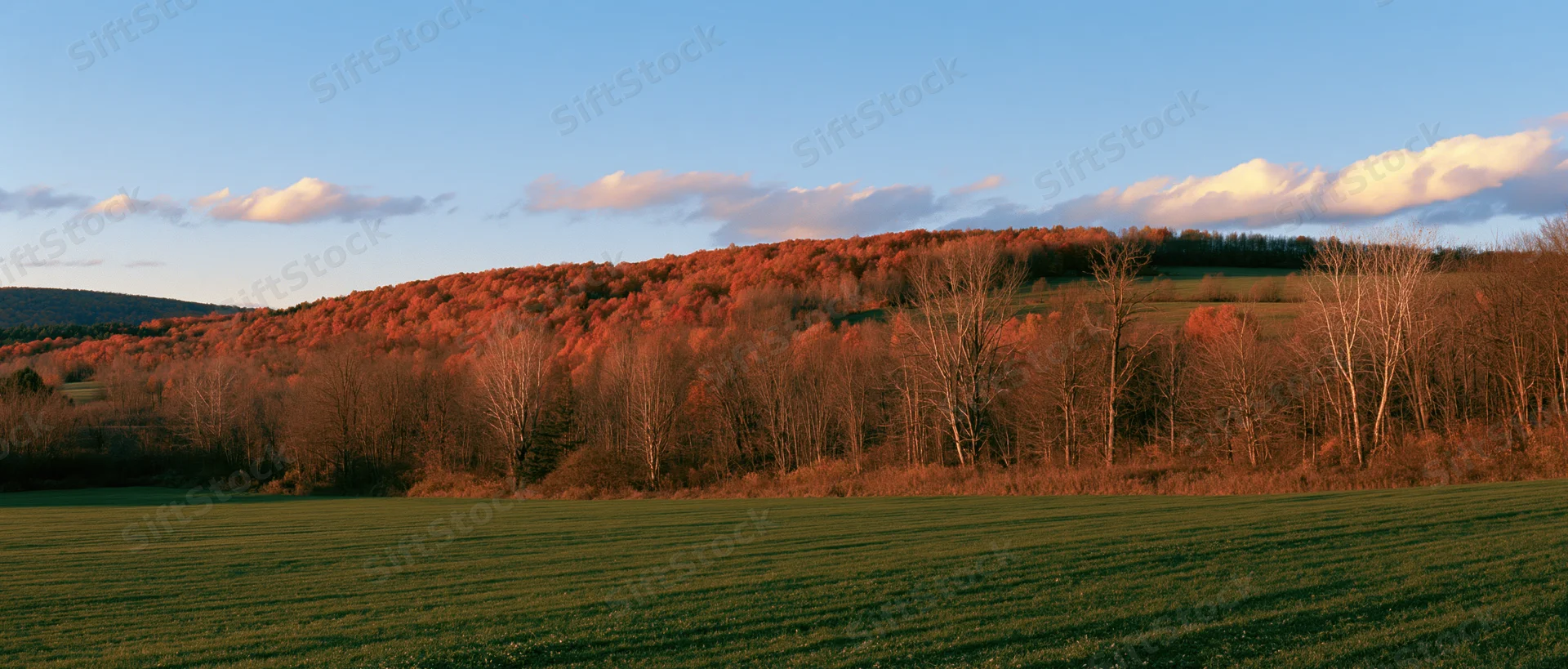 Open green field in foreground leading to autumn-colored forested hill under clear sky with scattered clouds at sunset