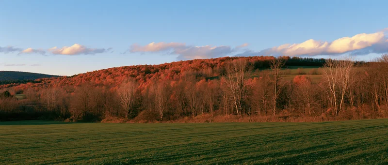 Open green field in foreground leading to autumn-colored forested hill under clear sky with scattered clouds at sunset