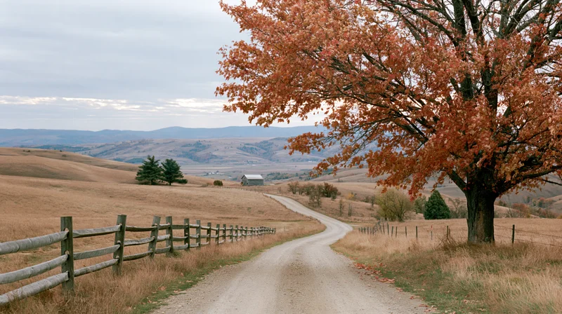 Winding dirt road through rolling autumn hills flanked by a tree and wooden fence