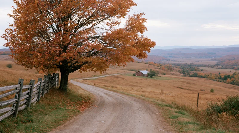 Winding dirt road through autumn hills with a tree and wooden fence beside a field