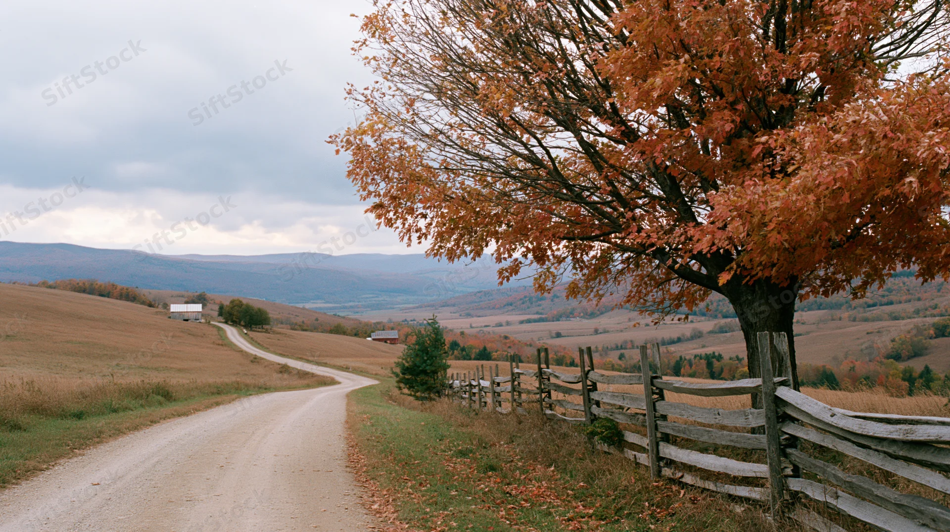 Winding dirt road through autumn hills flanked by a tree and wooden fence