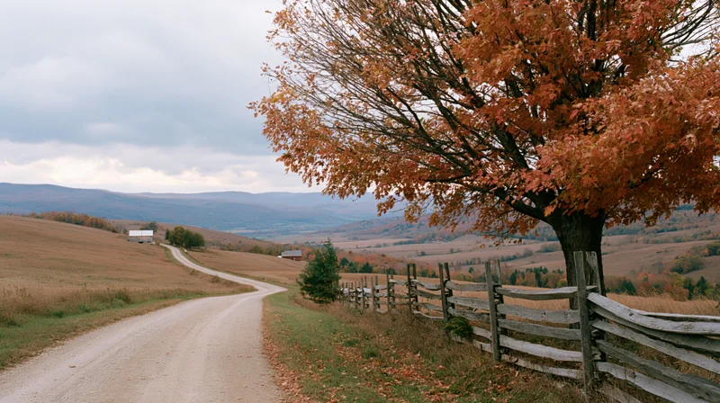 Rural dirt road winding through autumn hills flanked by fields