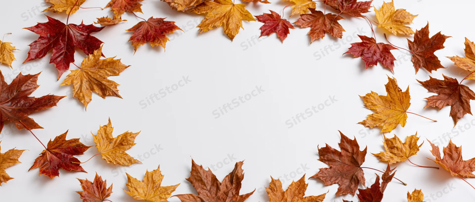 Maple leaves arranged in a border around white copyspace