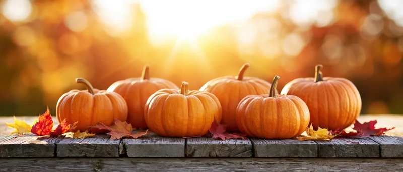 Several orange pumpkins of varying sizes arranged on a rustic wooden table with autumn leaves, backlit by warm sunlight