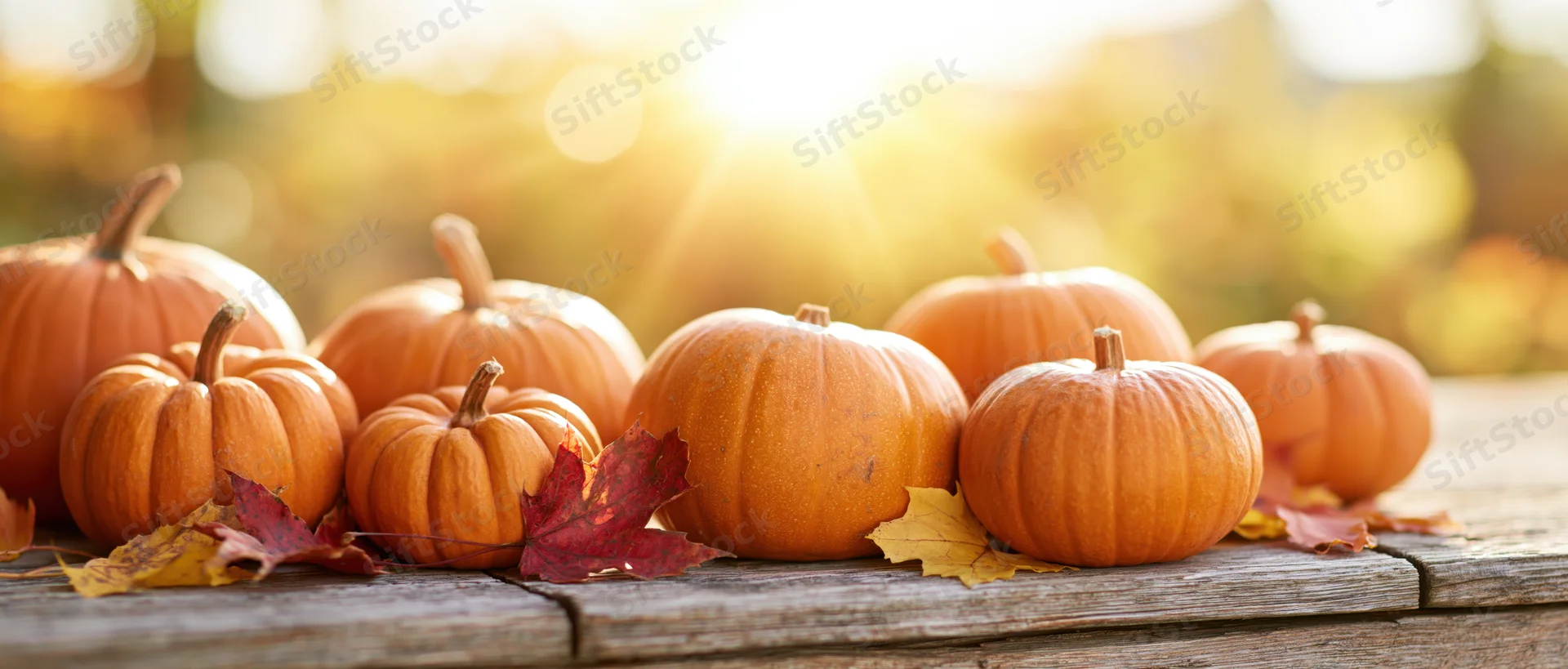 Several orange pumpkins of varying sizes arranged on a rustic wooden table with autumn leaves and warm sunlight in the background