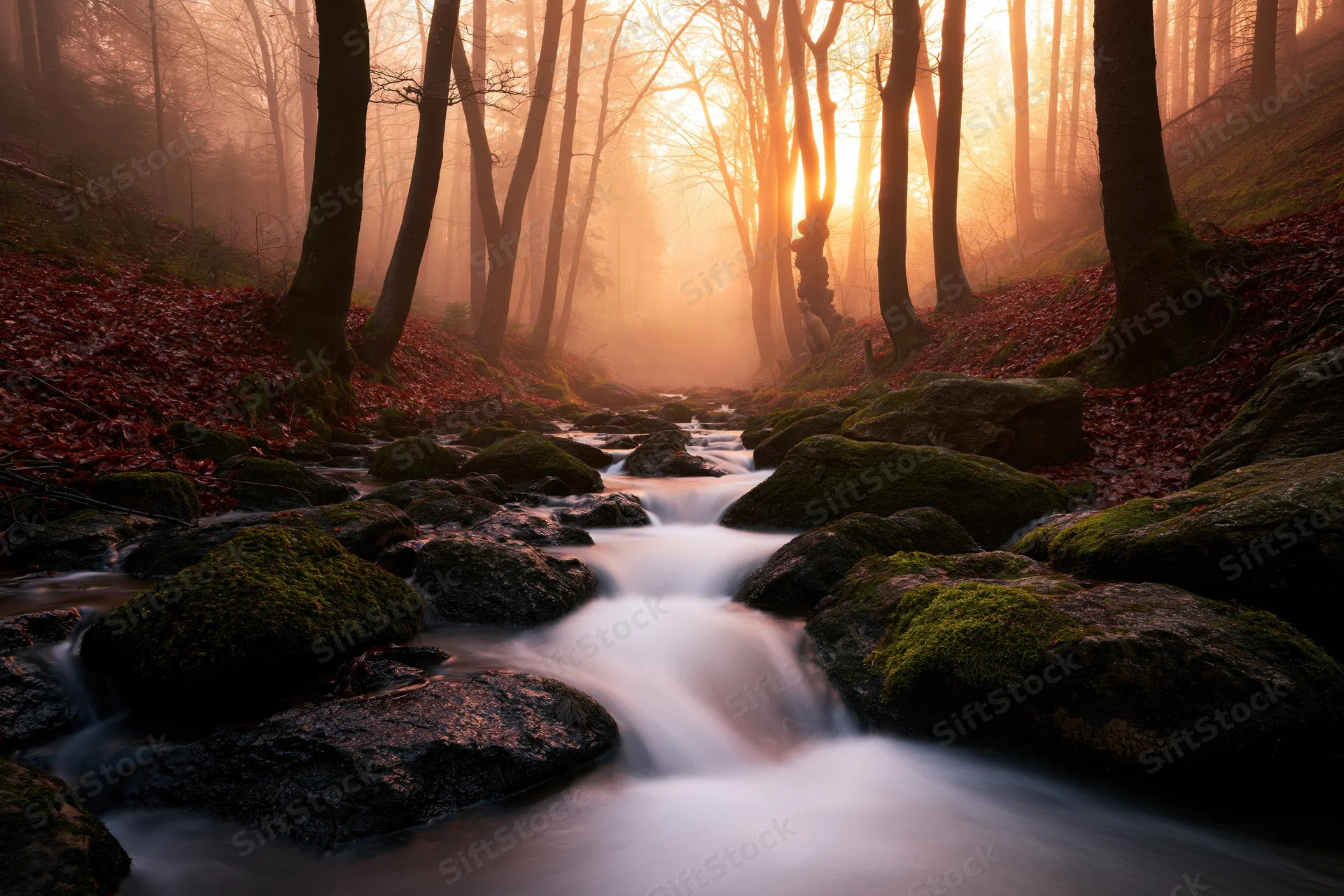 Stream flowing over moss-covered rocks in a foggy forest at sunrise