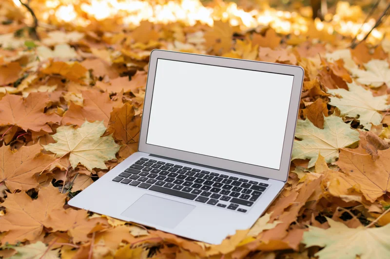 Silver laptop with blank white screen open on a bed of autumn maple leaves outdoors