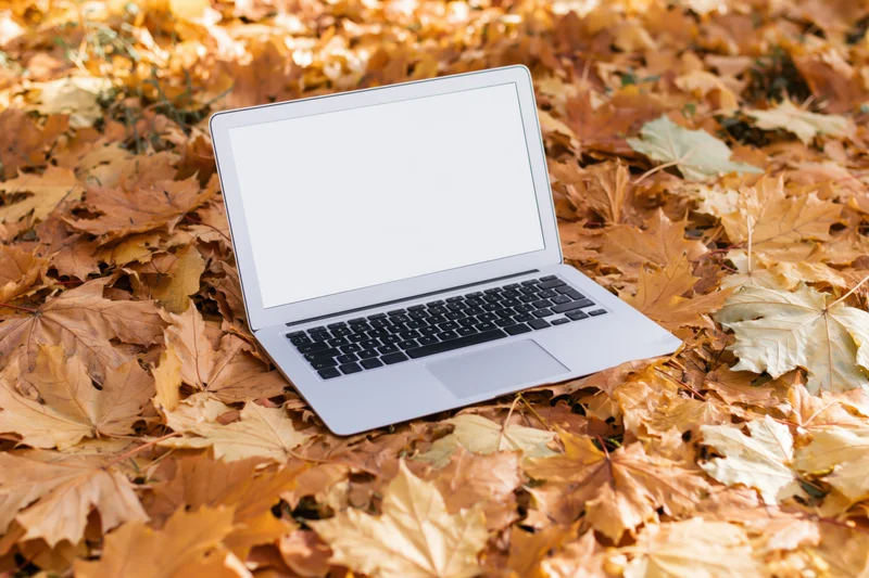 Silver laptop with blank screen open on a bed of autumn maple leaves outdoors