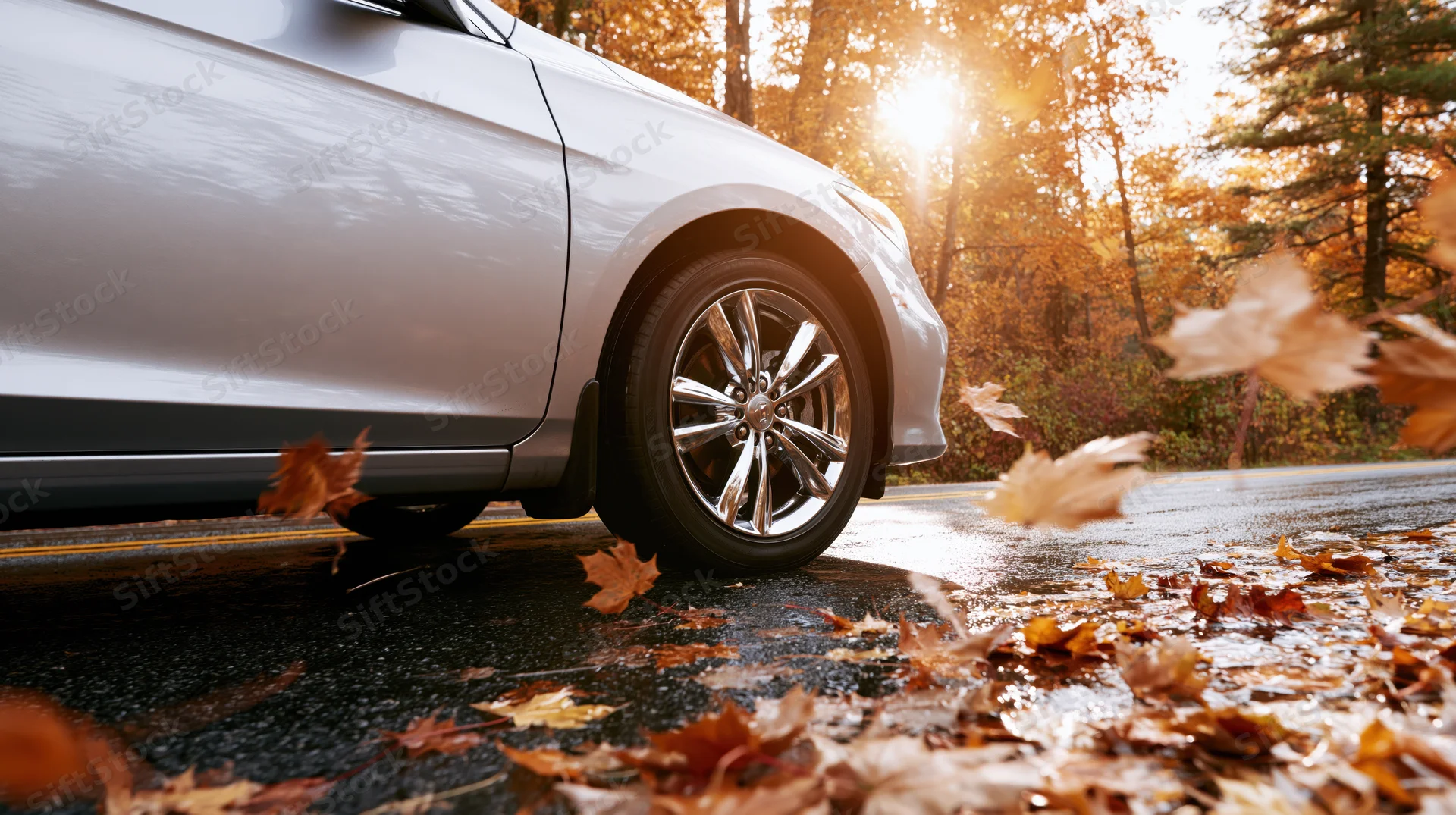 Silver sedan driving on wet autumn road with falling leaves and sunlight through trees