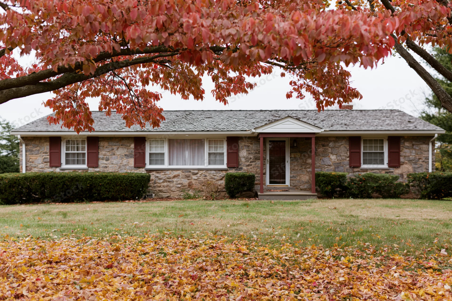 Single-story stone ranch house with brown shutters and autumn leaves on lawn