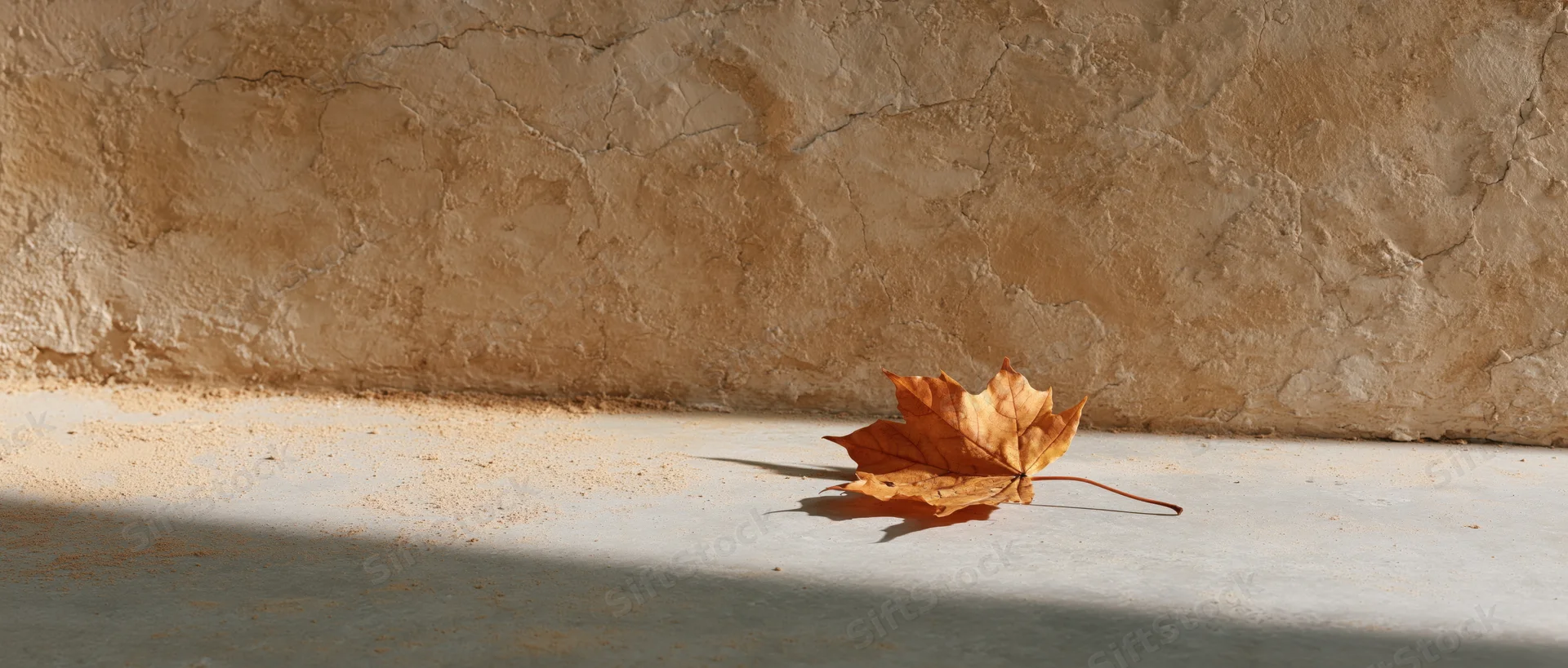 Dried maple leaf resting on smooth concrete floor against textured wall in sunlight