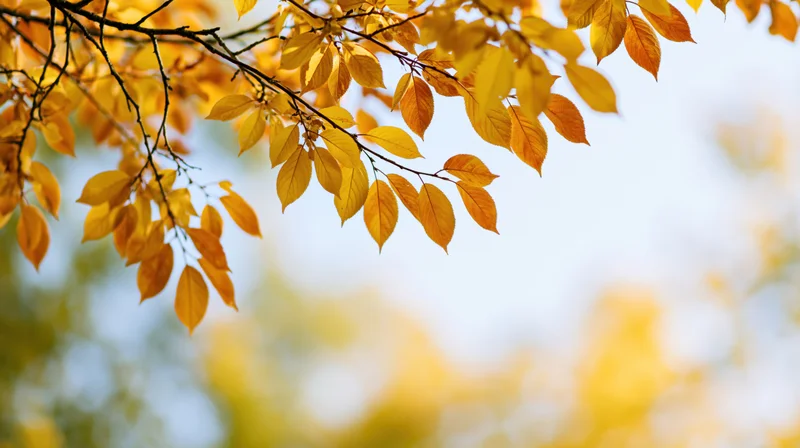 Golden autumn leaves on slender branches against a soft blue sky with bokeh background