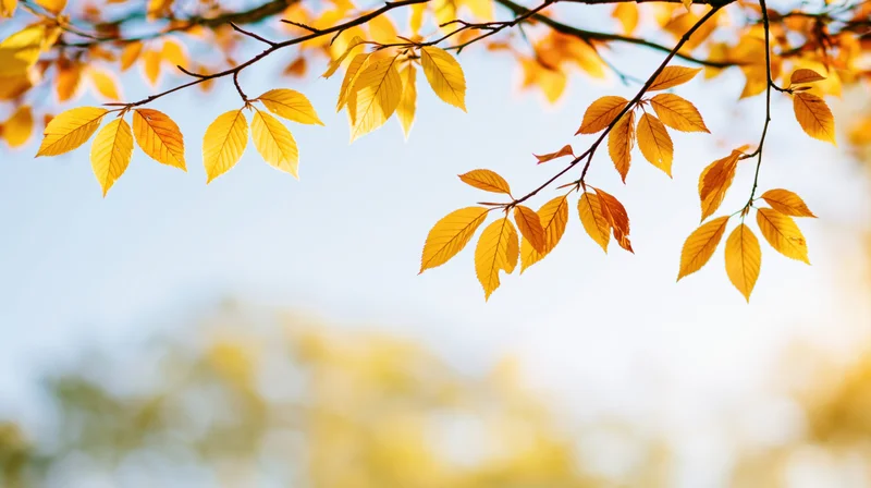 Golden autumn leaves on slender branches against a soft blue sky with blurred background
