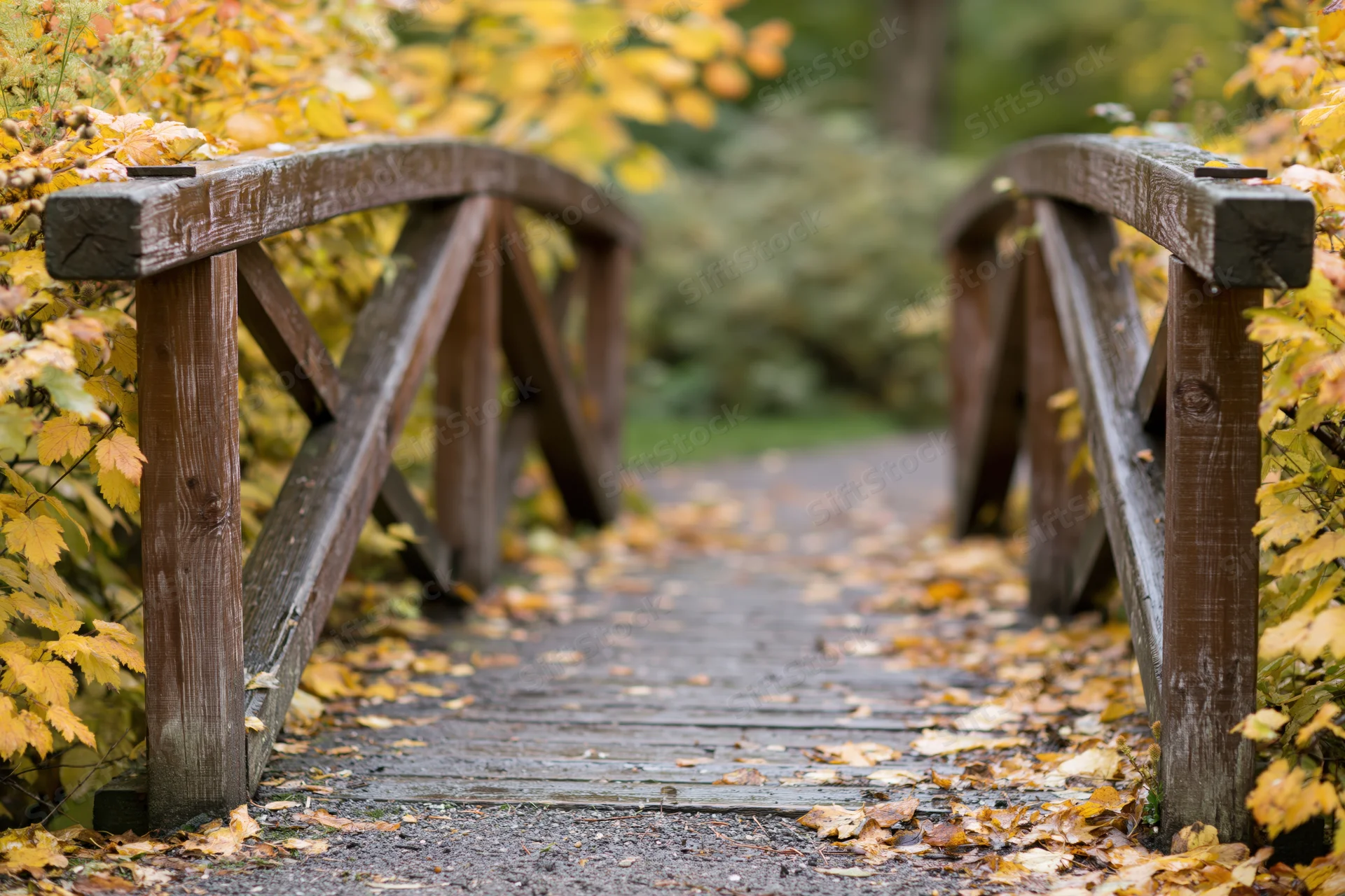 Small arched wooden footbridge with diagonal railing supports over a leaf-covered pathway in a park during autumn