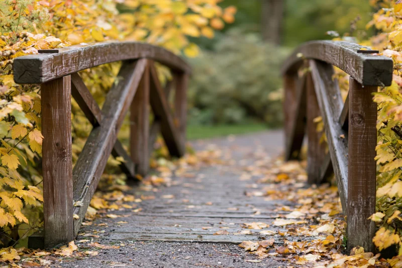 Small arched wooden footbridge with diagonal railing supports over a leaf-covered pathway in a park during autumn