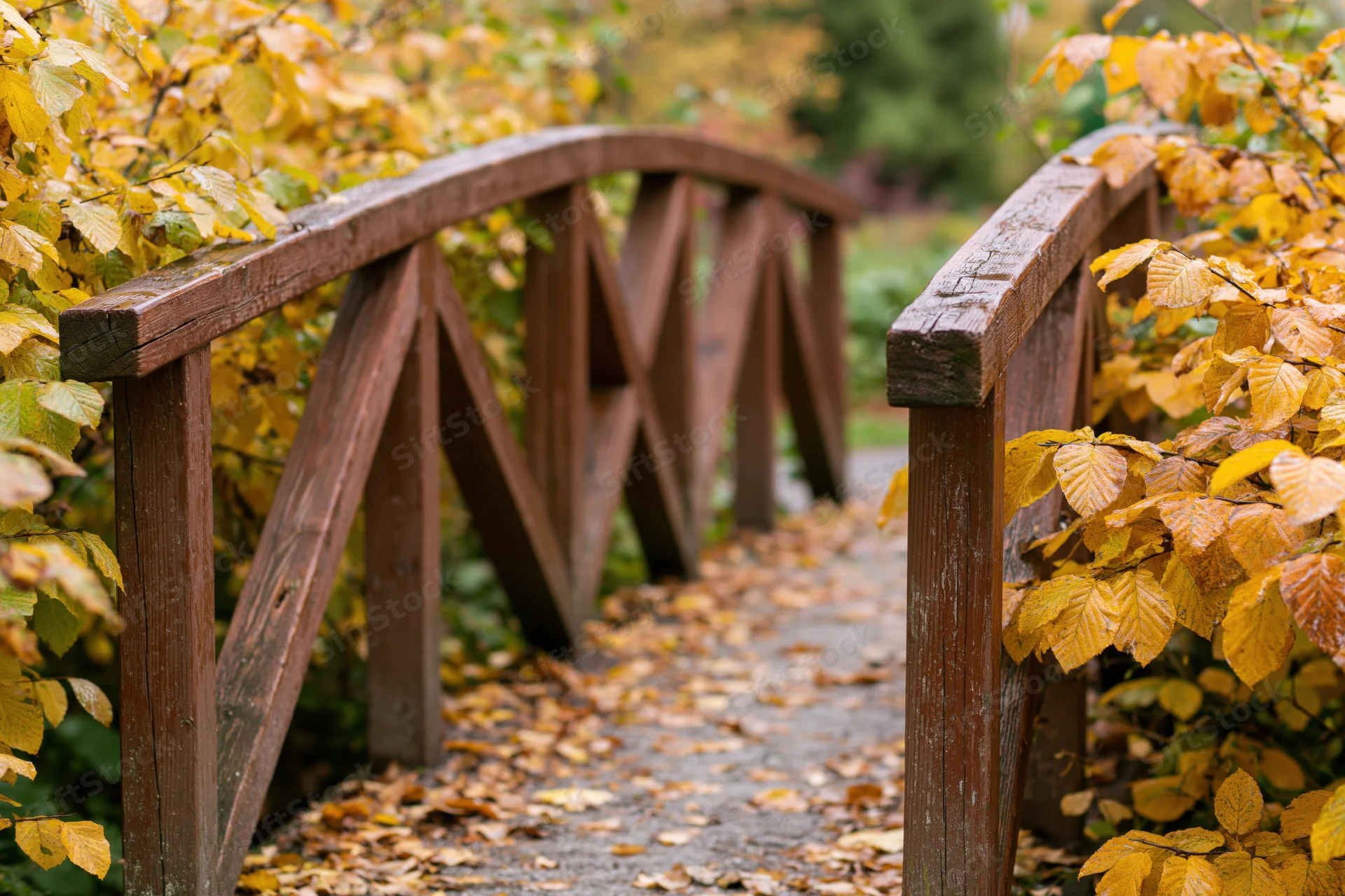Small arched wooden footbridge over a leaf-covered path in an autumn garden