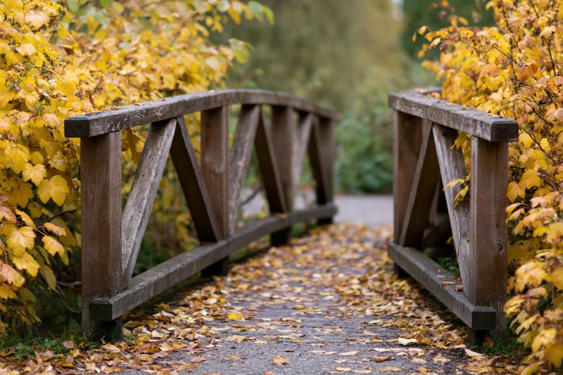 Small arched wooden footbridge with diagonal railing supports over a leaf-covered path in a garden during autumn