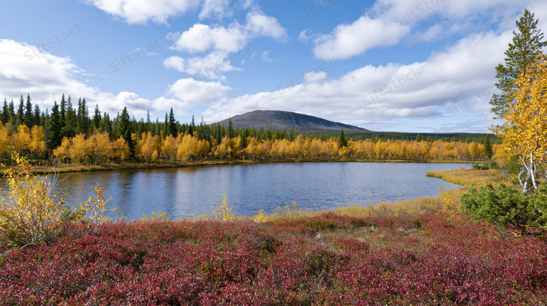 Small boreal lake surrounded by autumn birch and pine trees under a partly cloudy sky