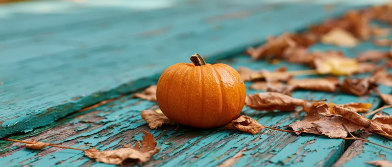 Small orange pumpkin resting among dry autumn leaves on a weathered teal wooden deck