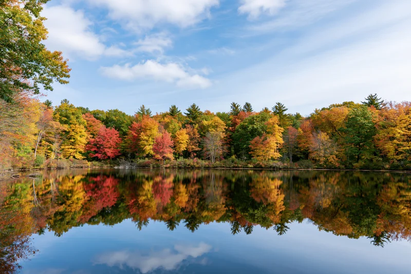 Autumn forest trees reflected in calm pond water under blue sky with clouds