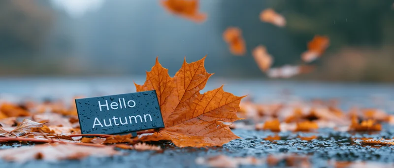 Orange maple leaf resting on wet ground with small dark sign reading hello autumn among fallen foliage