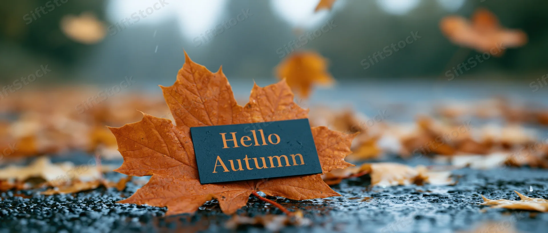 A dark sign reading hello autumn resting on a wet maple leaf among fallen foliage on pavement