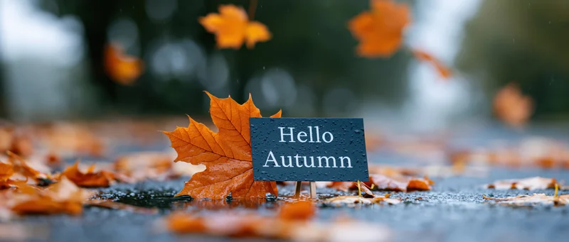 Small dark sign reading hello autumn propped on wet pavement among fallen orange maple leaves