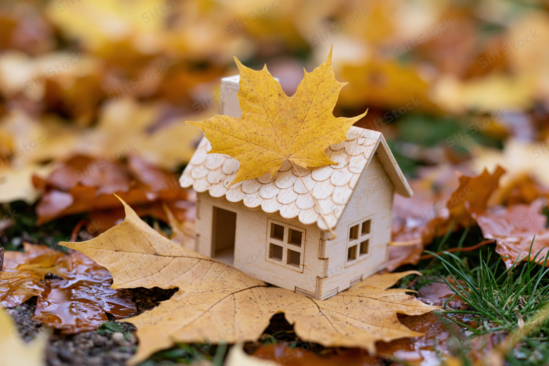 Small wooden miniature house with maple leaf on roof surrounded by fallen autumn leaves on grassy ground