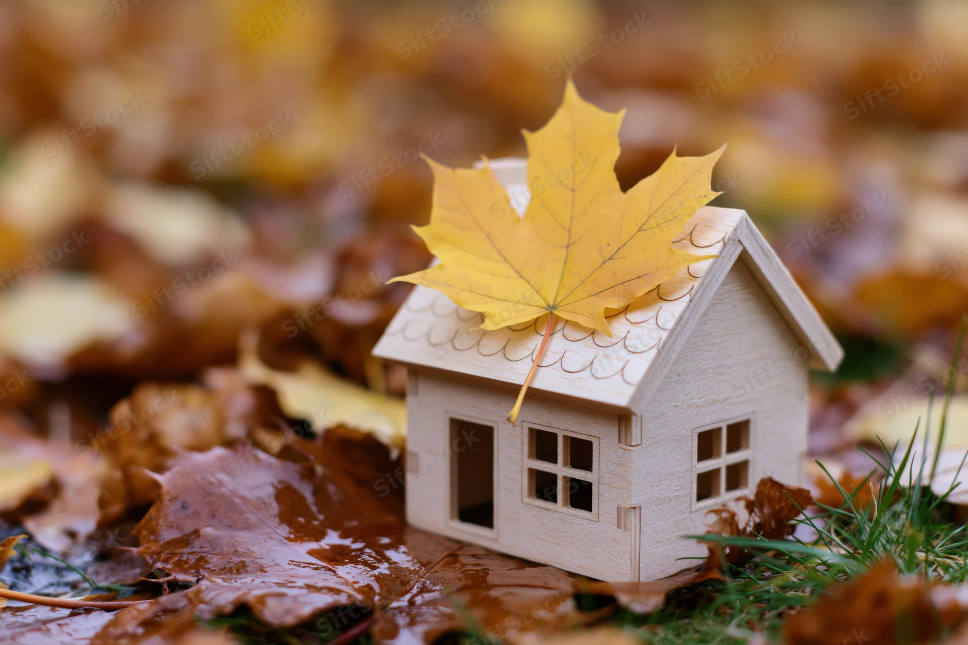 Small wooden miniature house with a yellow maple leaf on its roof among fallen autumn leaves on damp ground