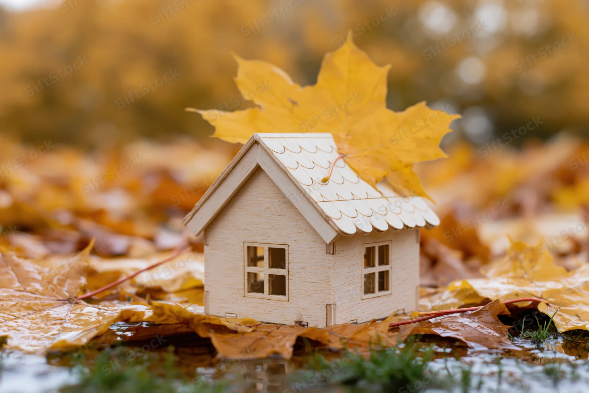 Small wooden miniature house resting among fallen autumn maple leaves on wet ground with grass and reflections