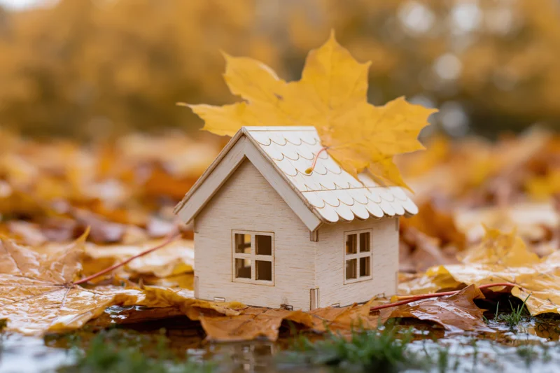 Small wooden miniature house resting among fallen autumn maple leaves on wet ground with grass and reflections