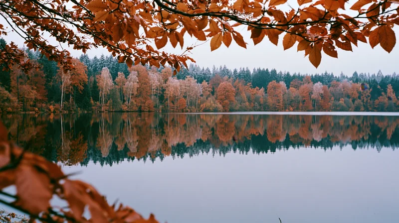 Still lake reflecting autumn forest framed by overhanging orange leaves