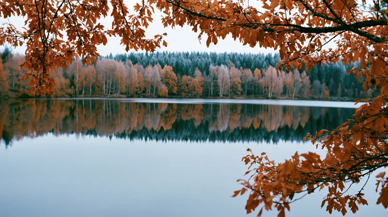 Still lake reflecting autumn forest framed by orange leaves overhead
