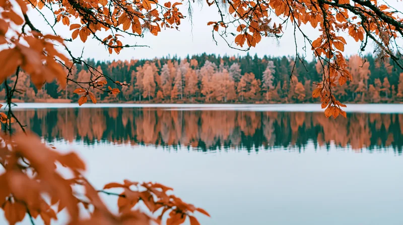 Still lake reflecting autumn forest framed by orange leaves in foreground