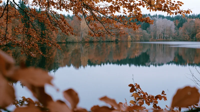 Still lake reflecting autumn forest framed by overhanging orange leaves