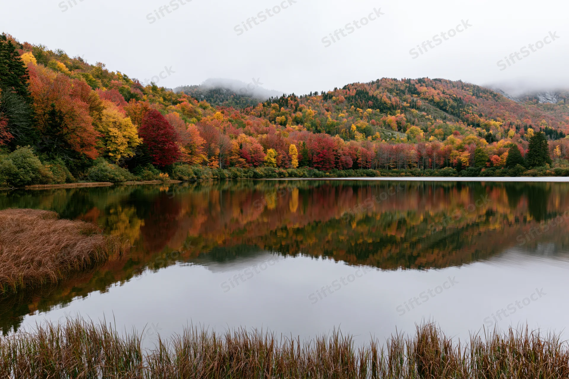 Still mountain lake reflecting dense autumn forest of red orange and yellow trees under misty sky