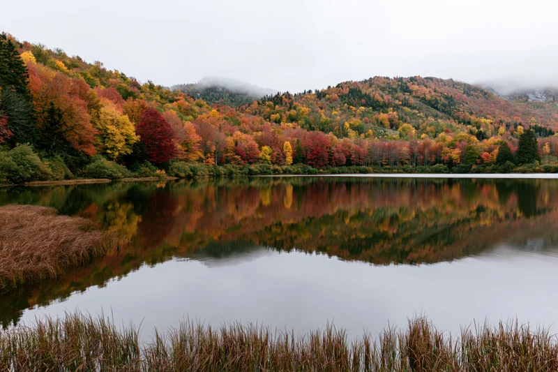 Still mountain lake reflecting dense autumn forest of red orange and yellow trees under misty sky