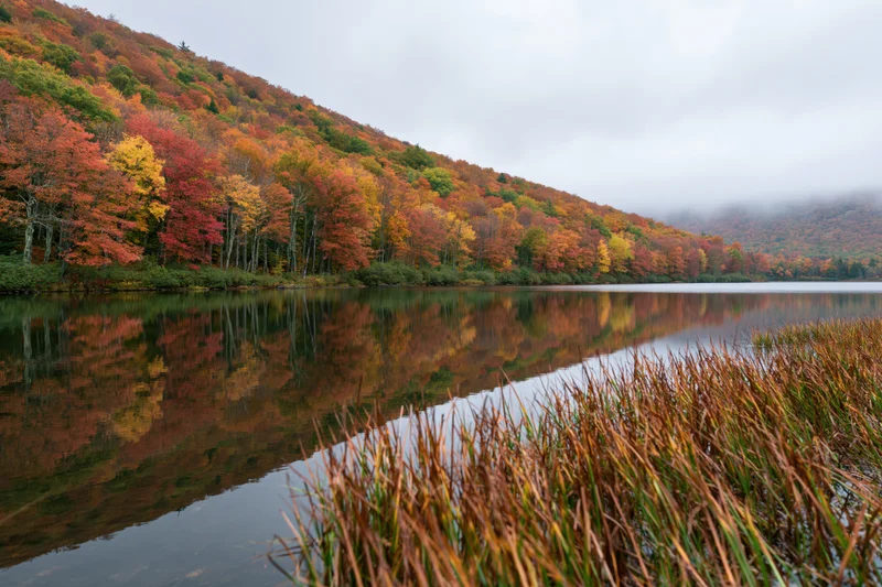 Still mountain lake reflecting dense autumn forest of red orange and yellow trees along the shore