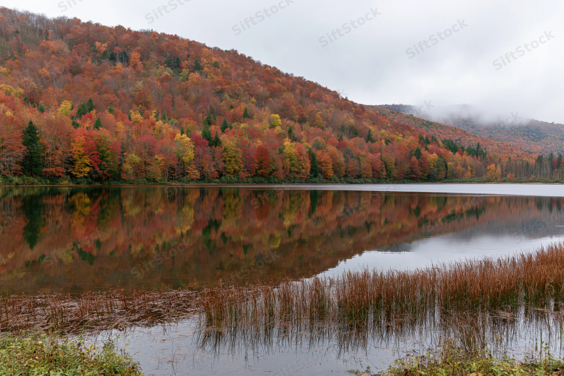 Still mountain lake reflecting dense autumn forest of red orange and yellow trees under overcast sky